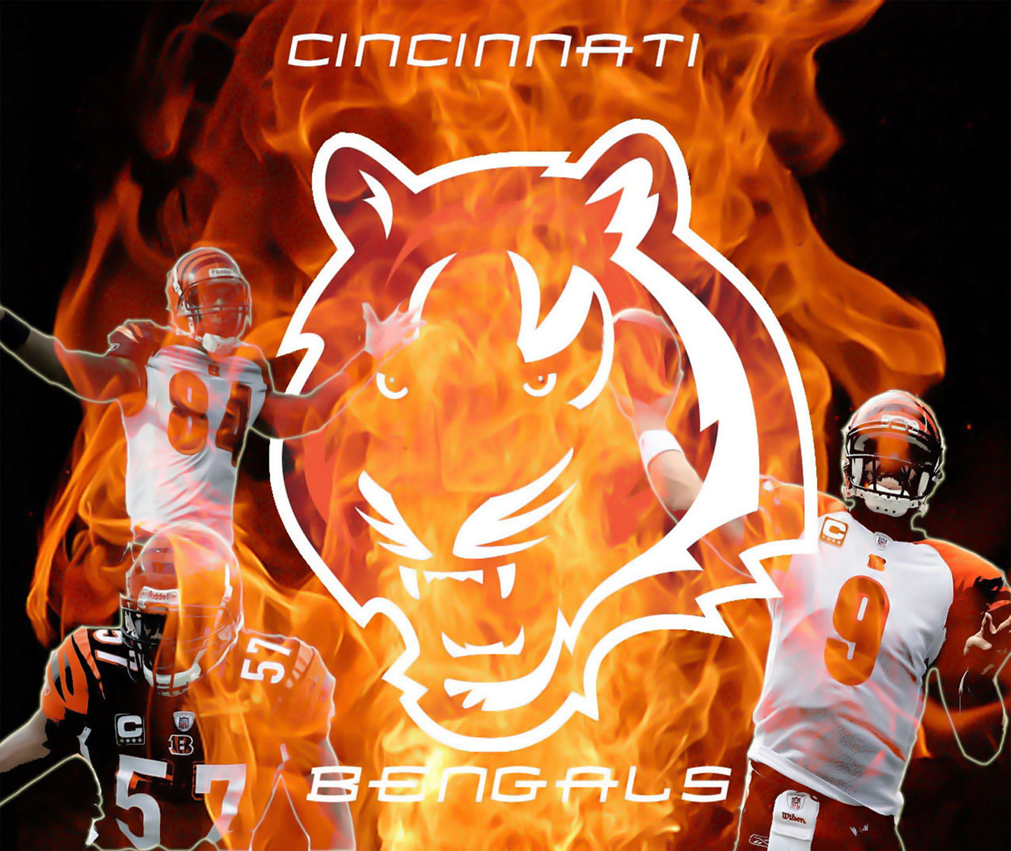 Cincinnati Bengals - tumblers
