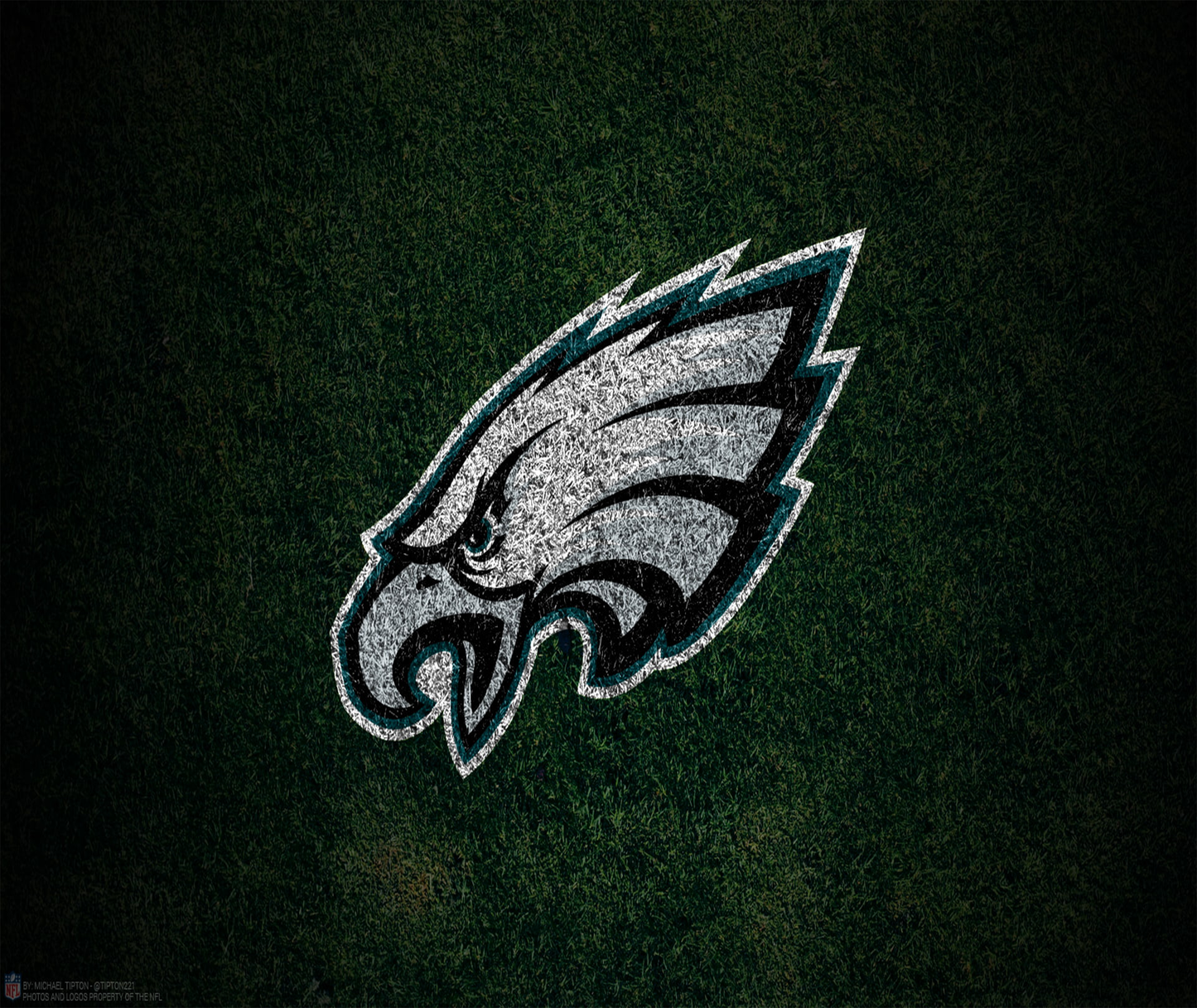 Philadelphia Eagles - Tumblers