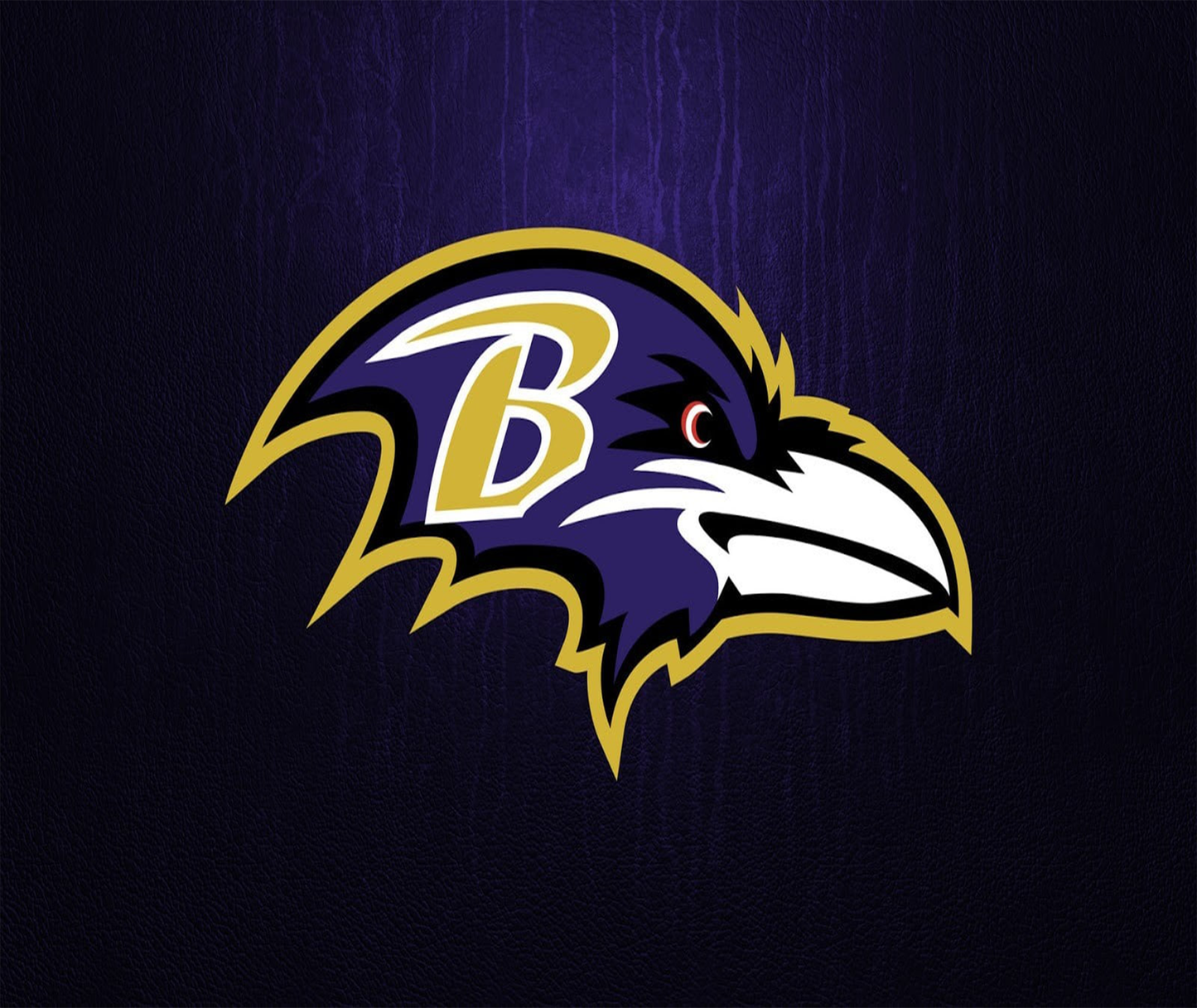 Baltimore Ravens - Tumblers