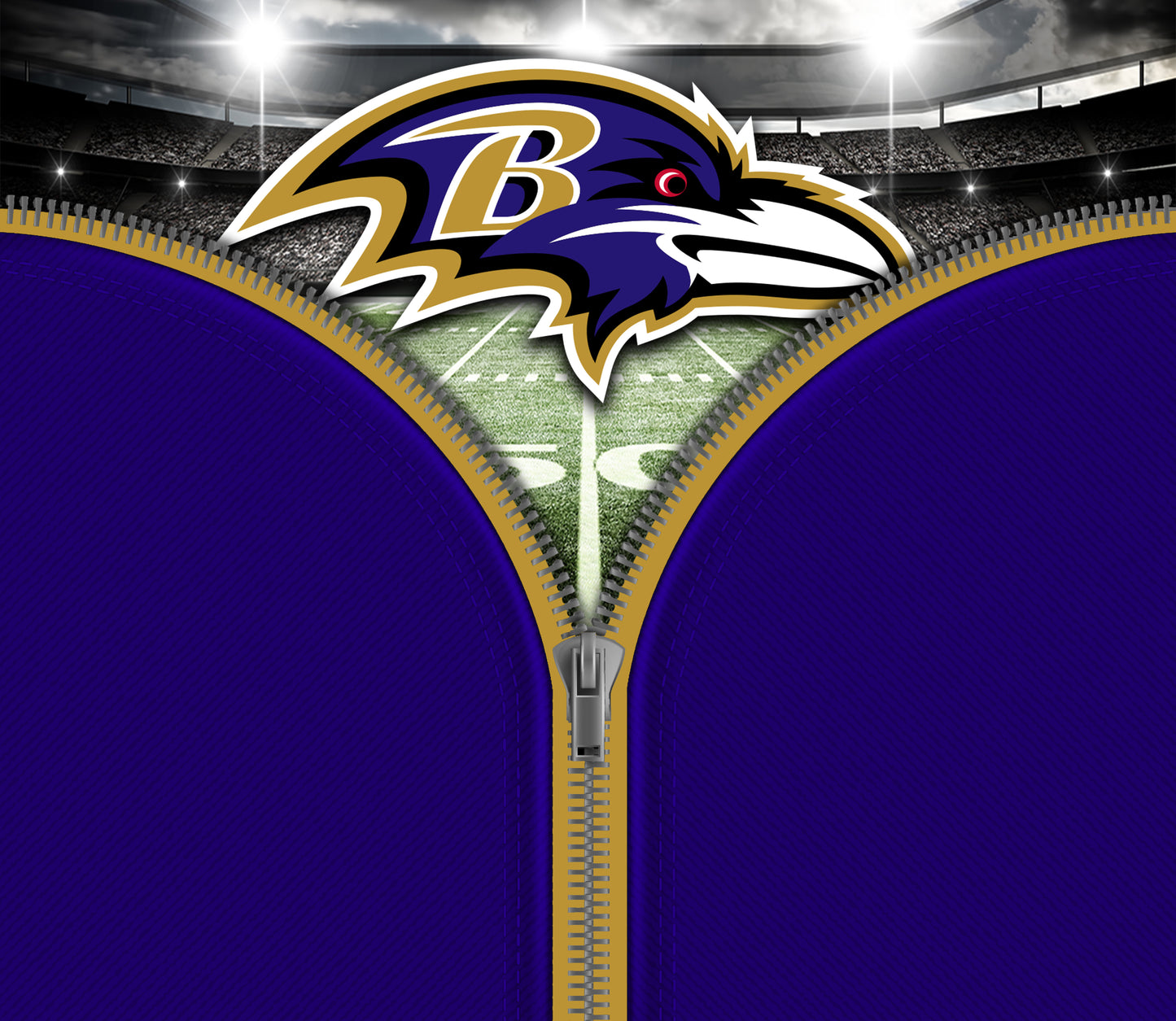 Baltimore Ravens - Tumblers